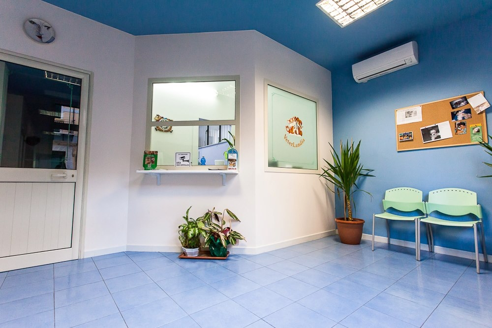Sala d'attesa di Veterlandia, accogliente e luminosa