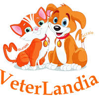 Logo Sede di Via Ciullo D'Alcamo